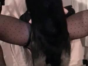 The canine dominatrix toys with her mistress