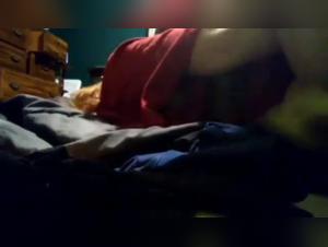 Canine Domination: Zoolatry and Bestial Passion