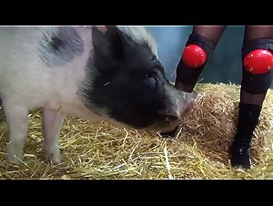 Die Kunst der Zoofilia: Yasmin lasst sich gehen