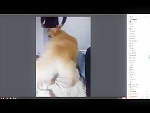 Bestialidad: una mujer y su perro