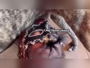 Zoophilie Décapante : Chien Domination Sexphile