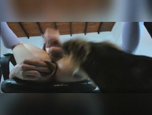 Transvestite Teen: Bestial Canine Exploitations
