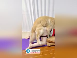 Coleccion oscura: placeres sexuales prohibidos en China