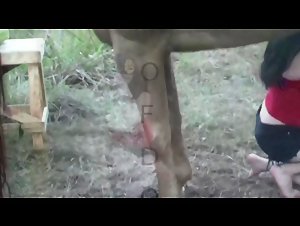Woman and horse: a beastly encounter