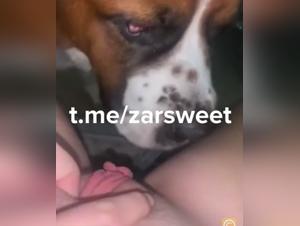 Wilde Bestialorgien: Hunde, Kitzeln und verruckte Orgasmen