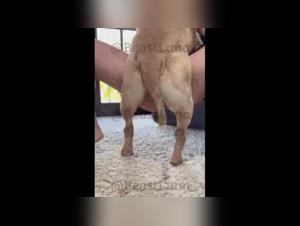 BeastLuna: The Bestial Dog Possession