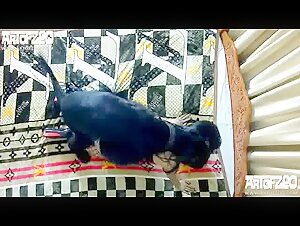 Tigerlily - Artofzoo: Eine bestialische und extreme Erfahrung