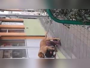 Dark Street, Brutal Fuck