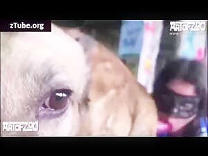 AOZ: Extreme Dog Sex Compilation