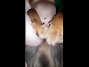 Gli artigli del desiderio animale