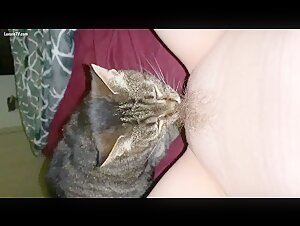 Woman and Dog: A Forbidden Meeting