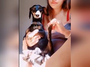 Fantasie bestiali: esplorare l'incesto degli animali