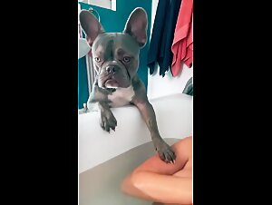 Geiler Hund liebt es zu ficken