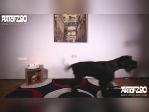 Denise Frazier und ihr Hund: Eine Hure lutscht einen Hund ins Maul