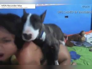 Fleischfresser-Schuld: Tierische sexuelle Obsession