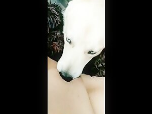 Intimate Moment: Man and Dog
