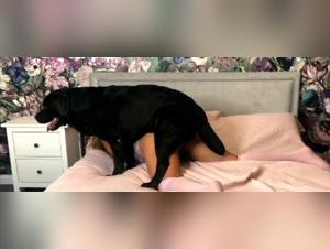 Silesto's Knotty Canine Pleasure Session
