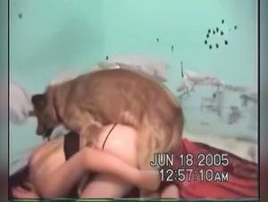 Pornografia animal gratis