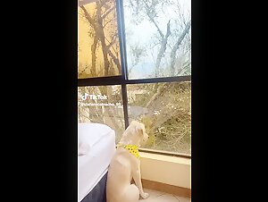Zoo Dog: A Story of Exciting Bestiality