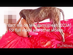 Extremer Sex mit Hund