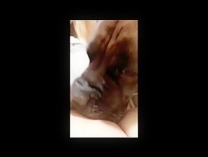 Compilation of Dog Licking Woman's Intimacy PT 1
