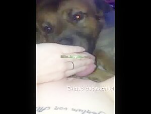 Perro lame las partes intimas de una mujer hasta que tiene un orgasmo