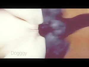 Intimate Moment: Dog and Mistress