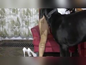 Explosive cumshot: Lise challenges the limits with her dog