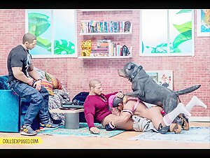 Dollsexposed: Una experiencia prohibida con un Rottweiler
