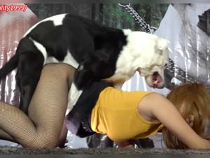 Doggy Style with Asian Student: Round 2, Out of Control
