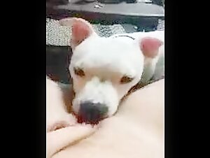 Ma femme et mon chien