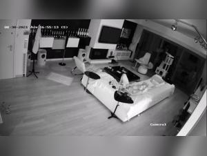 Caught on Tape: A Zoophilic Encounter Exposed