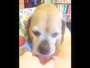 Intimate Moment with Man's Best Friend