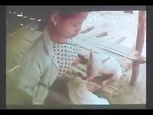 Breast milk for dogs