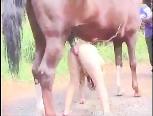 Woman and horse: a bestial encounter