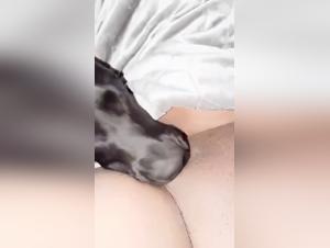 Beastiality passion: sex porn with slutty women and dogs