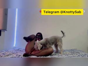 American Canine Petite Freakshow: She Rinses Him Like a Toy