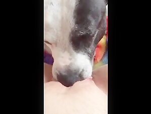 Woman and dog: a beastly encounter