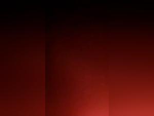 Wild Desire: A Woman's Raw Passion for Her Dog