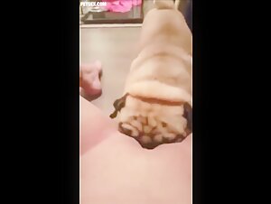 Teenage girl in heaven thanks to the licking of two adorable dogs