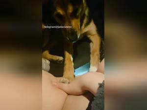 Fetish Submission: Dog Licks Mistress