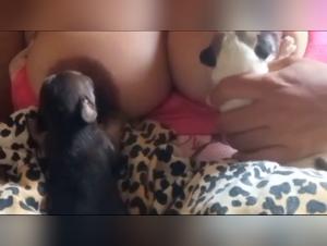 Allaitement Canin Intime : Chiot & Femme (Vidéo 29)