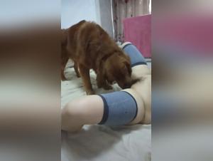 Doggy Rage on an Asian Chick