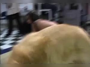 Delicias Prohibidas: Bestialidad Hardcore al Maximo