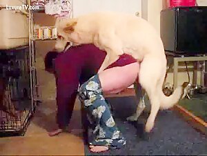 Intime Moment avec un Chien