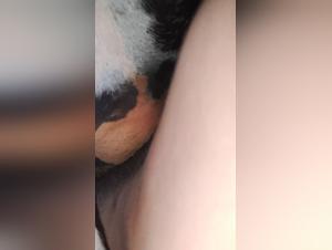 Animal Desire: Explore the boundaries of forbidden pleasure