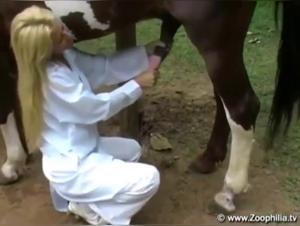 Zoophilia Adventures: Exploring Horse Encounters at the Zoo