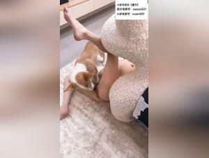 Explorez le Désir Animal: Hardcore Porn avec Chiens