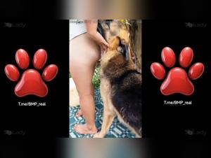 Analina: Where Royal Bestiality Reveals Its Joys