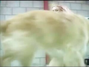 Sublime Blonde and Dog Passionate about Extreme Sex